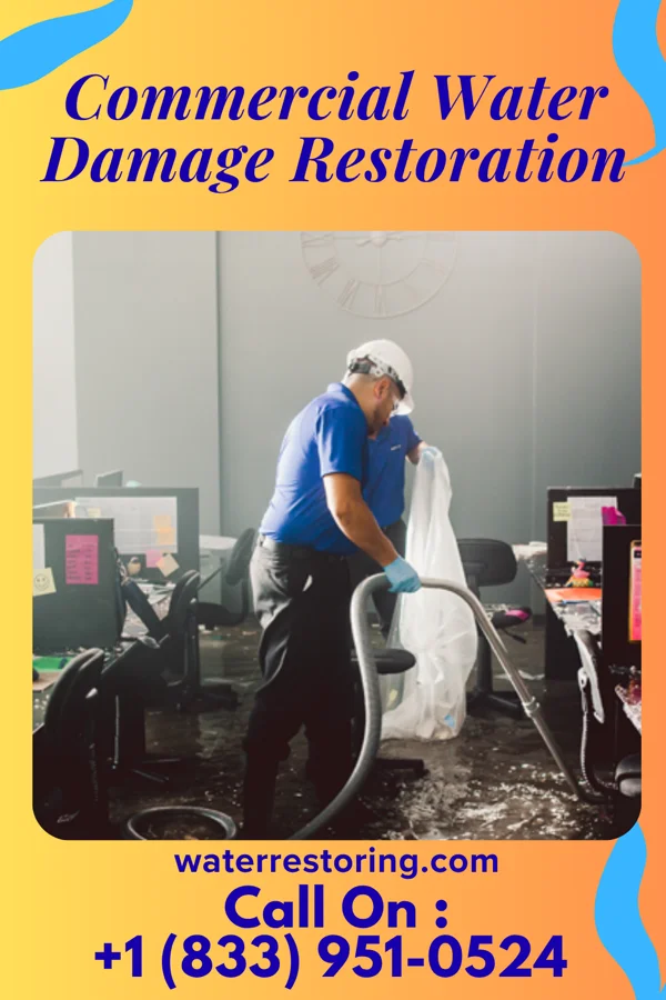 Commercial Water Damage Restoration in Bena, MN